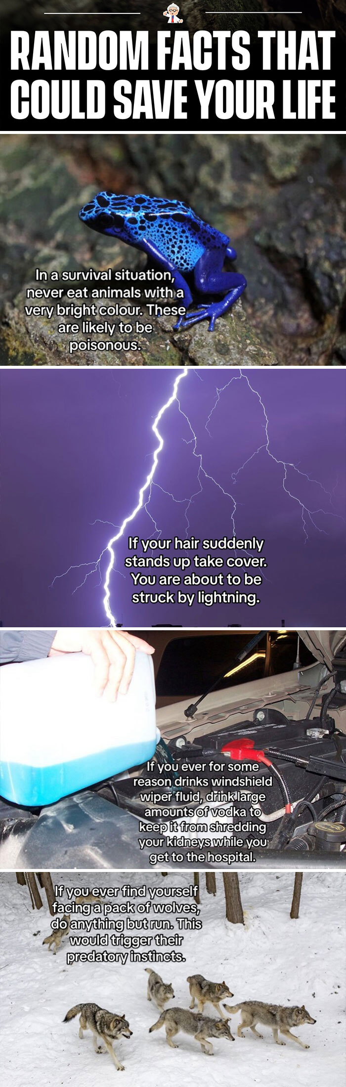 83 Wholesome And Interesting Facts And Stories From All Over The World