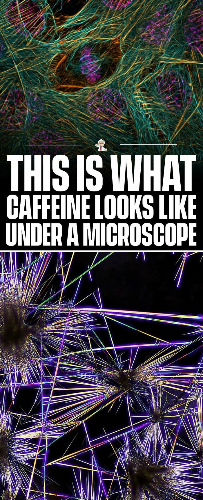 83 Wholesome And Interesting Facts And Stories From All Over The World