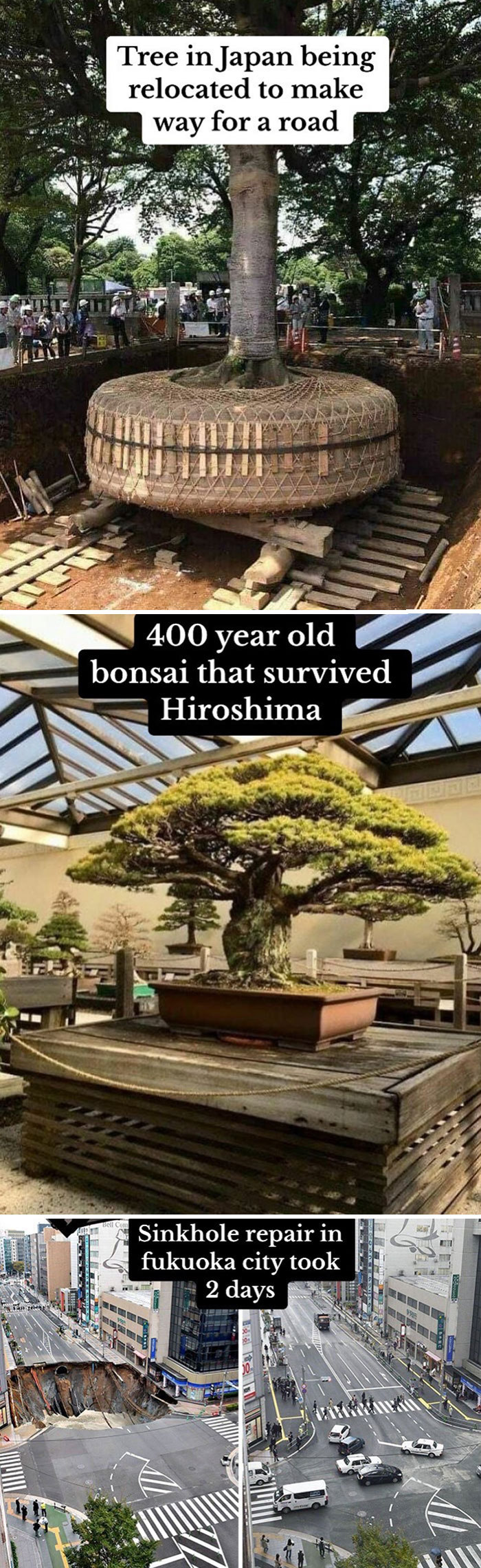 83 Wholesome And Interesting Facts And Stories From All Over The World