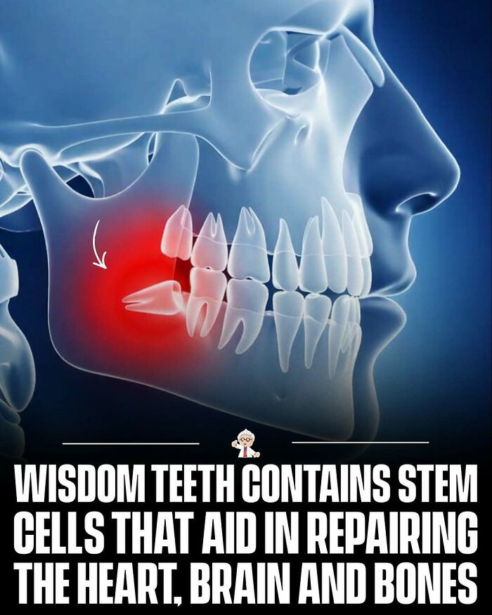 83 Wholesome And Interesting Facts And Stories From All Over The World