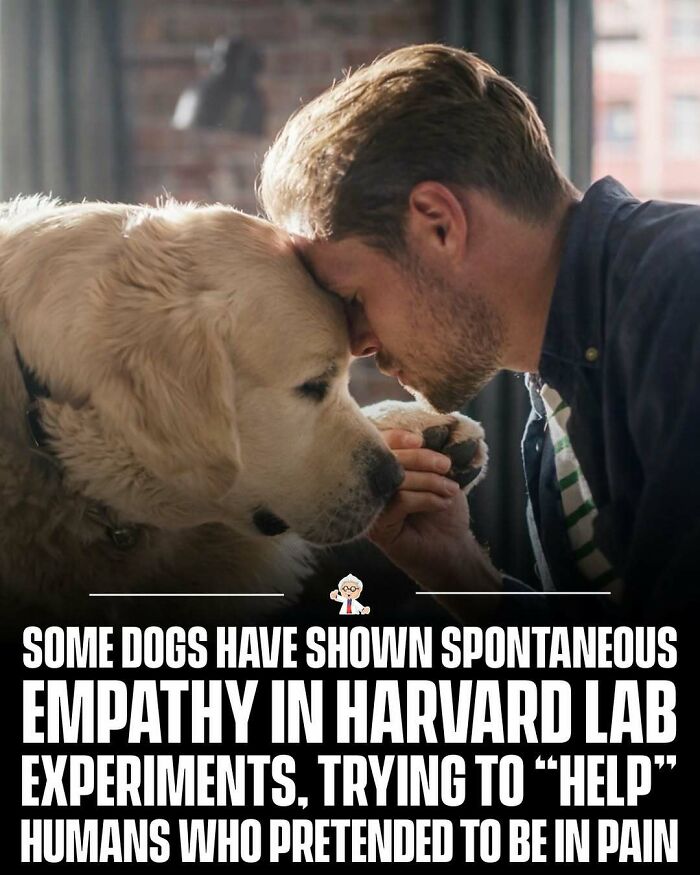 83 Wholesome And Interesting Facts And Stories From All Over The World