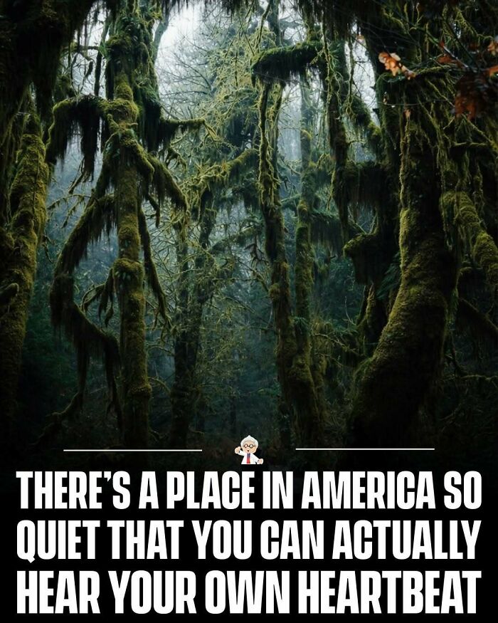 83 Wholesome And Interesting Facts And Stories From All Over The World