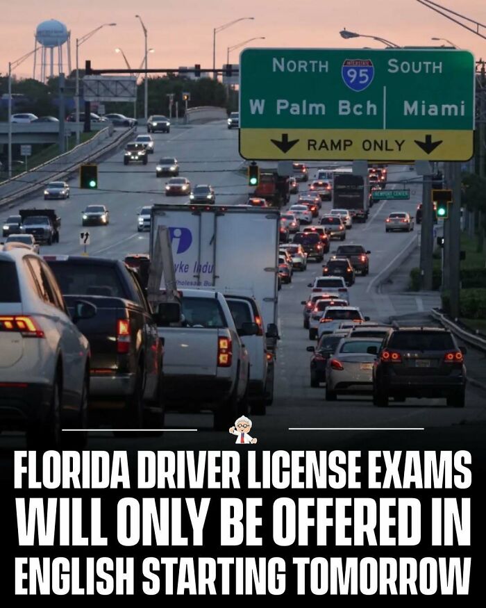 83 Wholesome And Interesting Facts And Stories From All Over The World