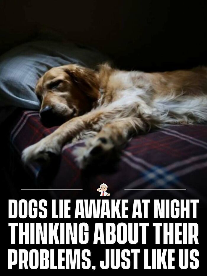 83 Wholesome And Interesting Facts And Stories From All Over The World