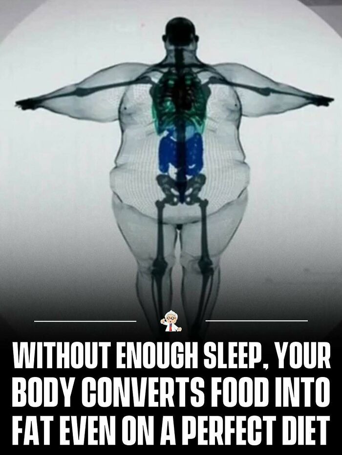 83 Wholesome And Interesting Facts And Stories From All Over The World