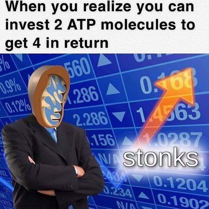 73 Memes For Doctors Or Patients Who Are Tired Of It All 73 Memes For Doctors Or Patients Who Are Tired Of It All