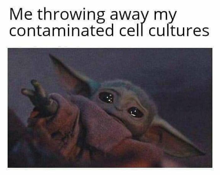 73 Memes For Doctors Or Patients Who Are Tired Of It All 73 Memes For Doctors Or Patients Who Are Tired Of It All