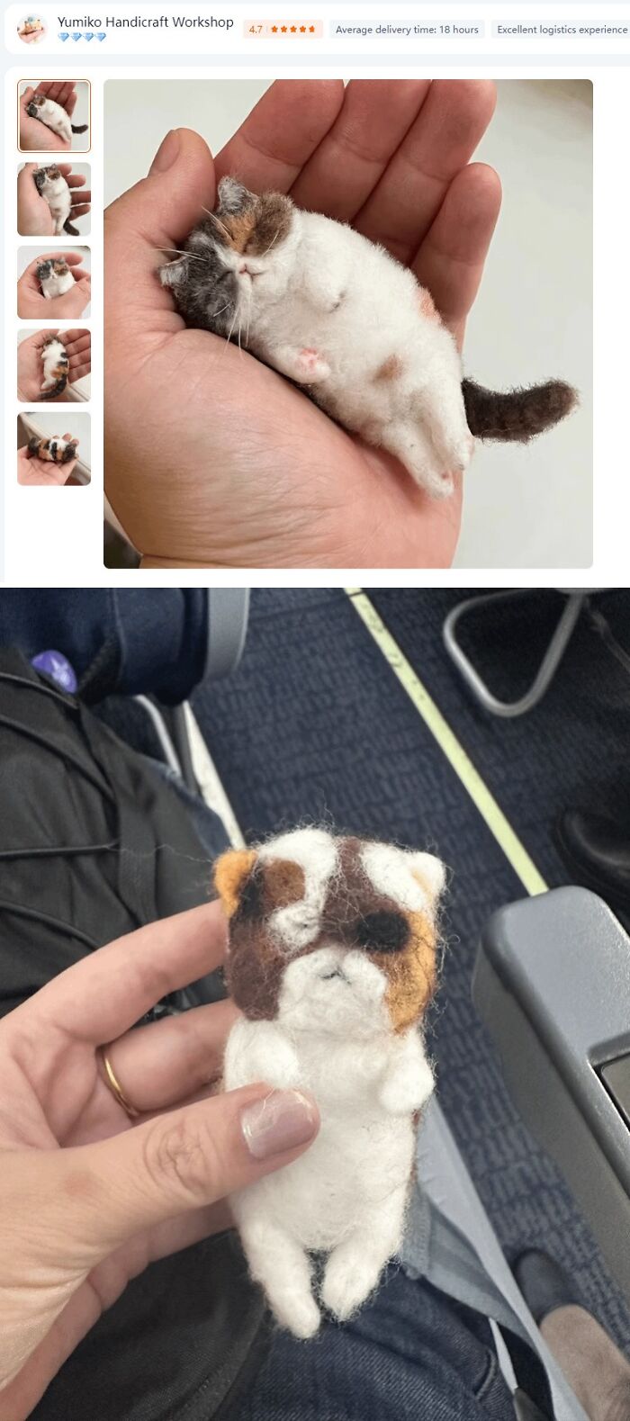 49 Times People Ordered From Cheap Websites And The Products Were Hilariously Bad