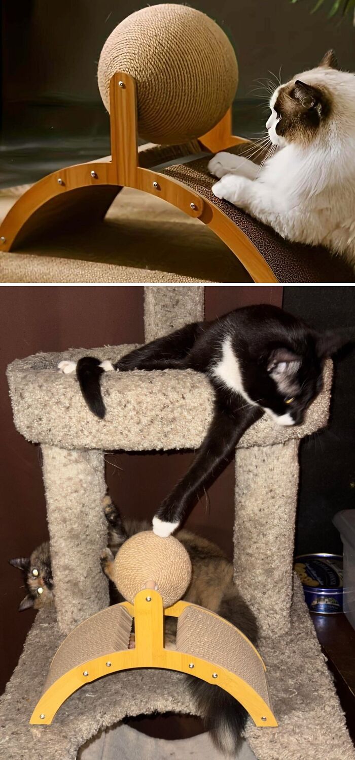 49 Times People Ordered From Cheap Websites And The Products Were Hilariously Bad