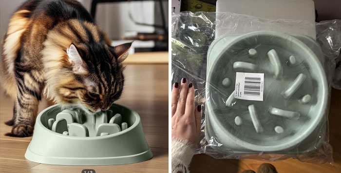 49 Times People Ordered From Cheap Websites And The Products Were Hilariously Bad
