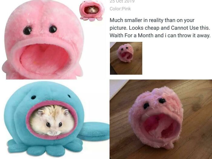 49 Times People Ordered From Cheap Websites And The Products Were Hilariously Bad