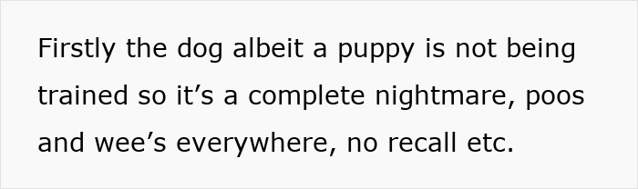 Irresponsible Aunt Chooses Untrained Dog Over Hurt Nephew After A Bite, Sparks Massive Family Feud