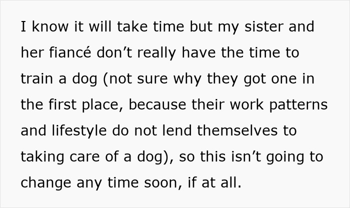 Irresponsible Aunt Chooses Untrained Dog Over Hurt Nephew After A Bite, Sparks Massive Family Feud