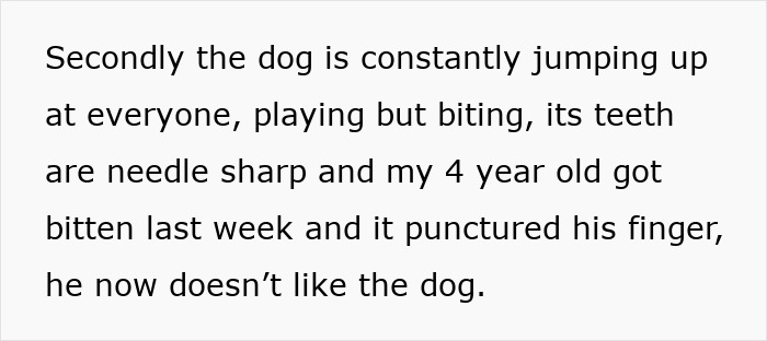 Irresponsible Aunt Chooses Untrained Dog Over Hurt Nephew After A Bite, Sparks Massive Family Feud