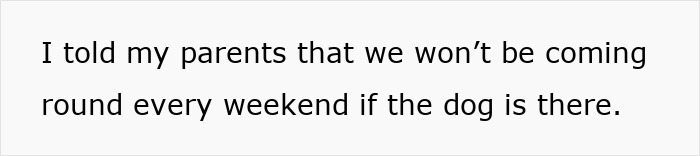 Irresponsible Aunt Chooses Untrained Dog Over Hurt Nephew After A Bite, Sparks Massive Family Feud