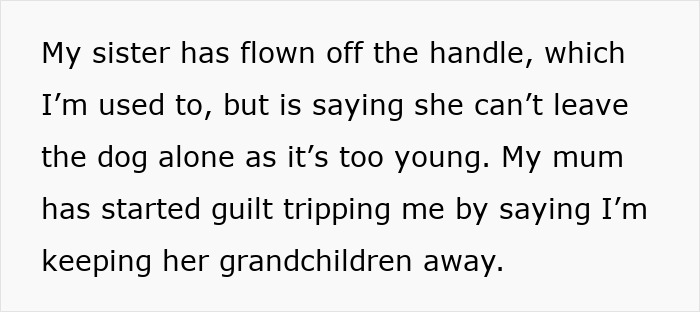 Irresponsible Aunt Chooses Untrained Dog Over Hurt Nephew After A Bite, Sparks Massive Family Feud