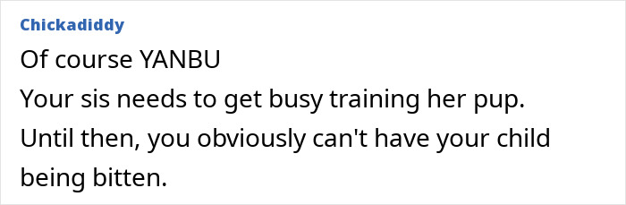 Irresponsible Aunt Chooses Untrained Dog Over Hurt Nephew After A Bite, Sparks Massive Family Feud