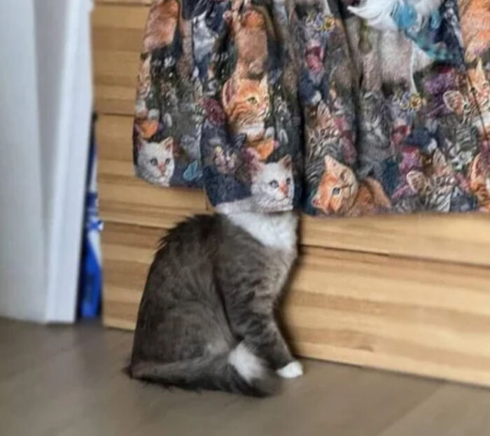 53 Stunning And Hilarious Coincidences That Are Stranger Than Fiction (New Pics)