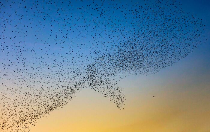 53 Stunning And Hilarious Coincidences That Are Stranger Than Fiction (New Pics)