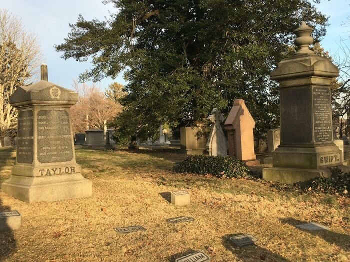 53 Stunning And Hilarious Coincidences That Are Stranger Than Fiction (New Pics)