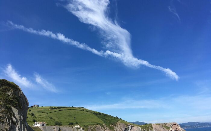 53 Stunning And Hilarious Coincidences That Are Stranger Than Fiction (New Pics)