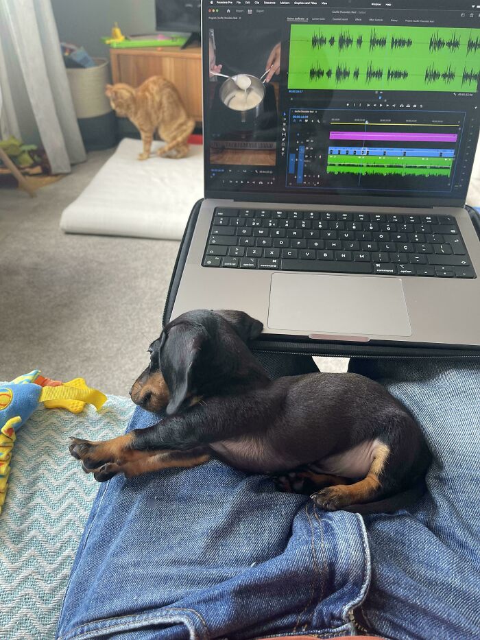 53 Stunning And Hilarious Coincidences That Are Stranger Than Fiction (New Pics)