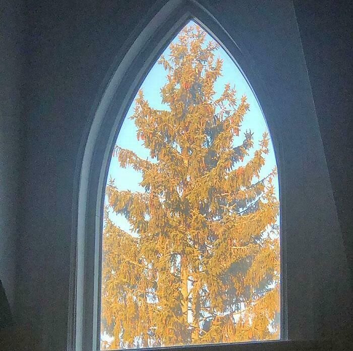 53 Stunning And Hilarious Coincidences That Are Stranger Than Fiction (New Pics)