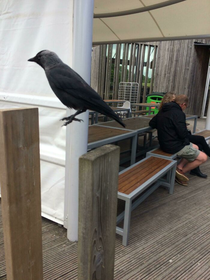 53 Stunning And Hilarious Coincidences That Are Stranger Than Fiction (New Pics)