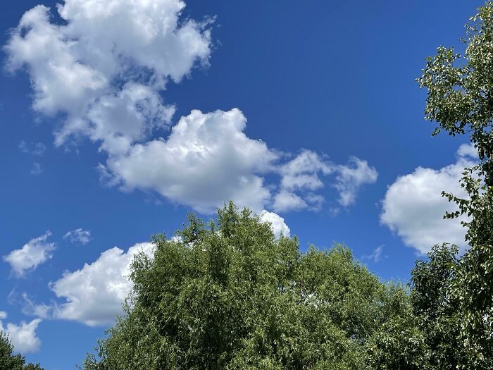 53 Stunning And Hilarious Coincidences That Are Stranger Than Fiction (New Pics)