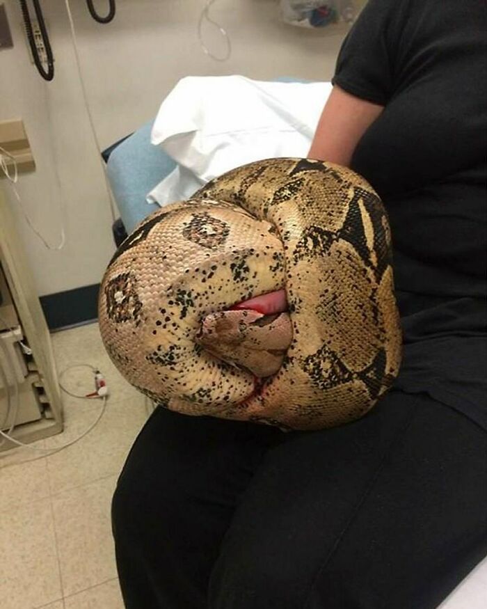 69 Unusual Medical Photos That Land Somewhere In Between Science And Nightmare