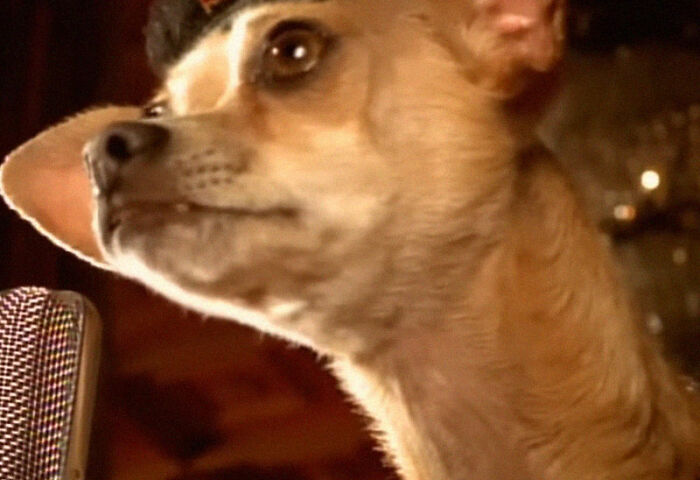 43 Epic PR Fails That People Can&rsquo;t Believe Were Actually Approved