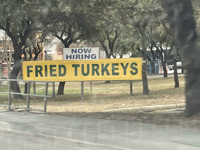 &ldquo;Must Be Lazy And Miserable To Fit In With Existing Staff&rdquo;: 53 Brilliant Hiring Signs