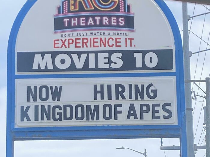 &ldquo;Must Be Lazy And Miserable To Fit In With Existing Staff&rdquo;: 53 Brilliant Hiring Signs