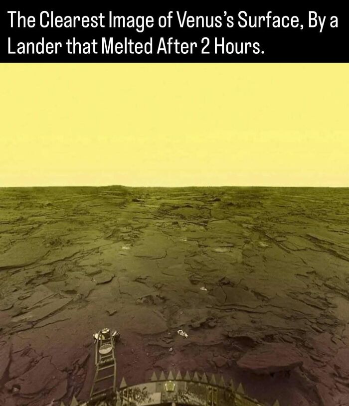 51 Pics That Show Unique Moments In Ancient And More Recent History (New Pics)