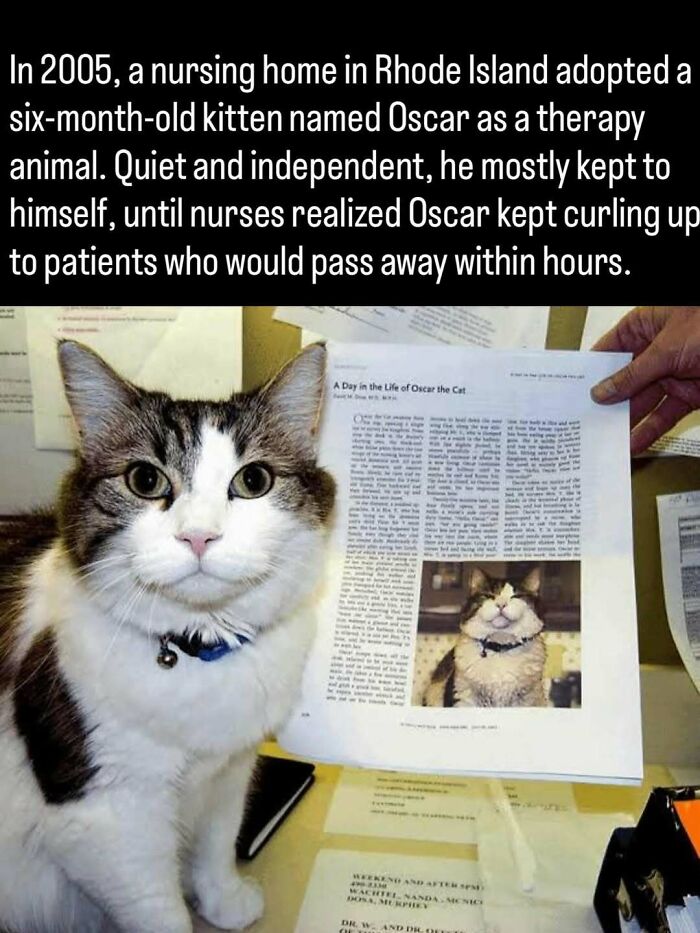 51 Pics That Show Unique Moments In Ancient And More Recent History (New Pics)