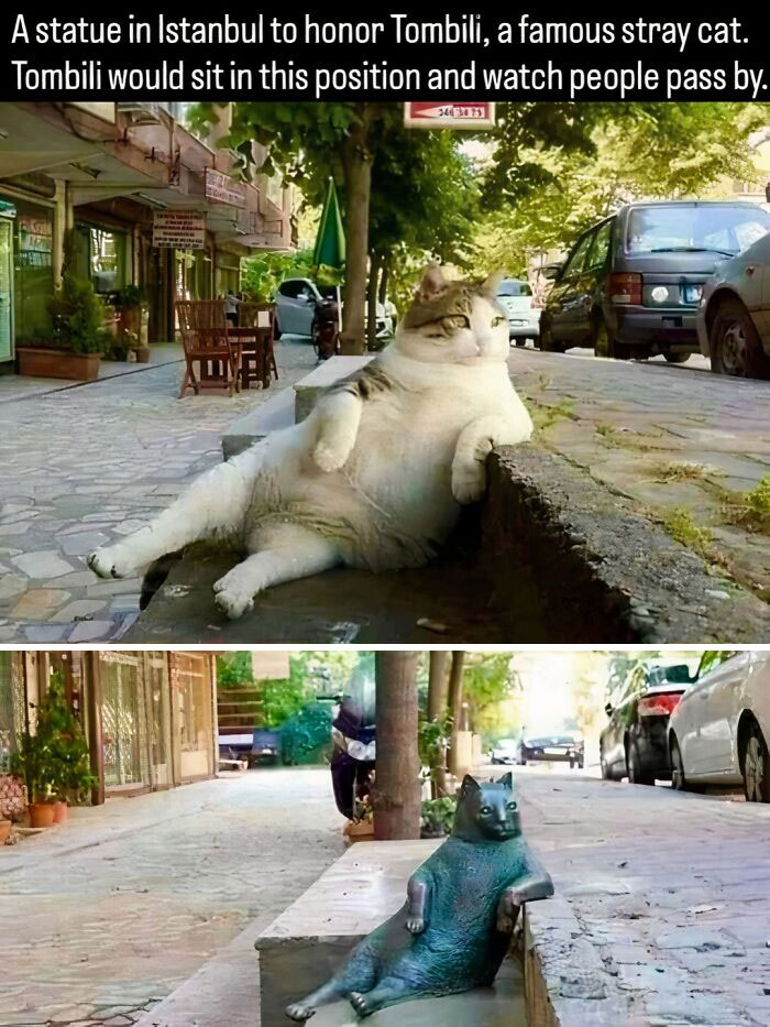 51 Pics That Show Unique Moments In Ancient And More Recent History (New Pics)