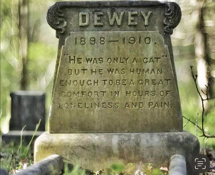 51 Pics That Show Unique Moments In Ancient And More Recent History (New Pics)