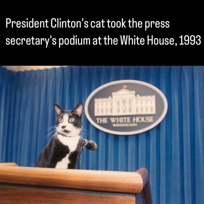 51 Pics That Show Unique Moments In Ancient And More Recent History (New Pics)