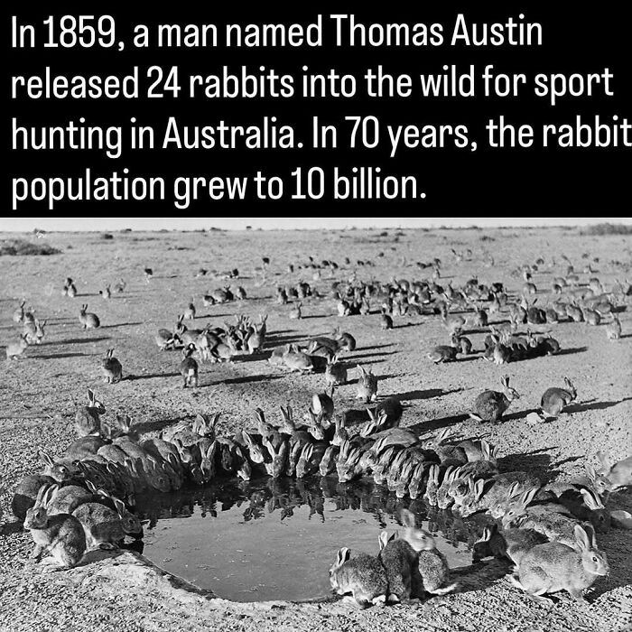 51 Pics That Show Unique Moments In Ancient And More Recent History (New Pics)