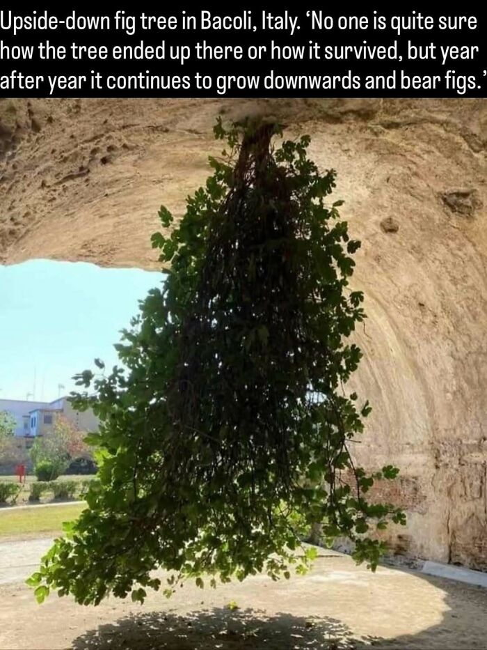 51 Pics That Show Unique Moments In Ancient And More Recent History (New Pics)