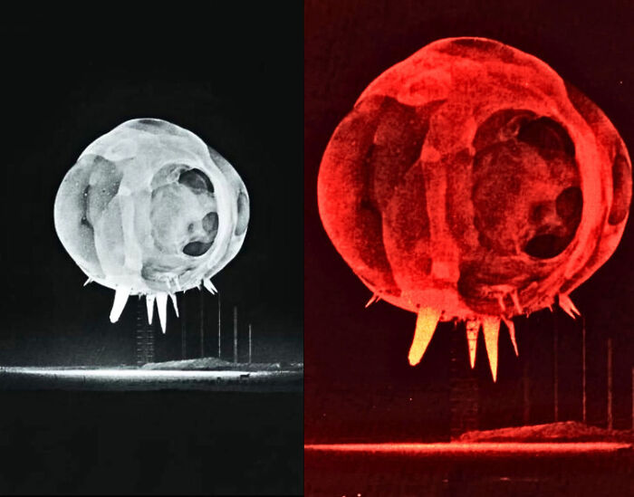 “Strange Earth”: 73 Things In Our World That Are Borderline Unbelievable (New Pics)