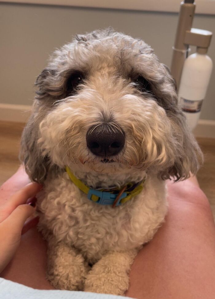 69 Times People Solved Annoying Problems With Surprisingly Genius Ideas (New Pics)