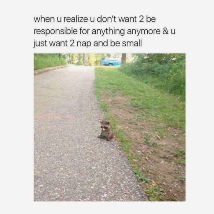 “What If?”: 125 Internet Posts That Made Scrolling Way More Enjoyable