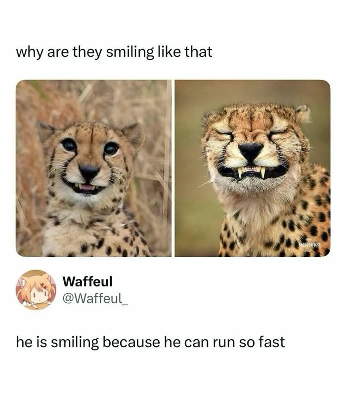 “What If?”: 125 Internet Posts That Made Scrolling Way More Enjoyable