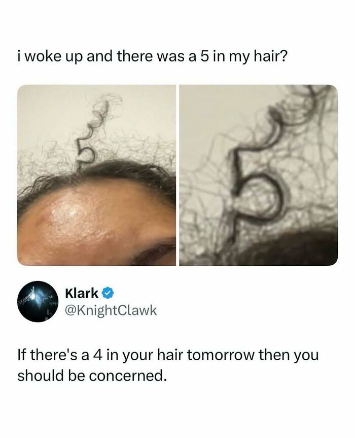 “What If?”: 125 Internet Posts That Made Scrolling Way More Enjoyable