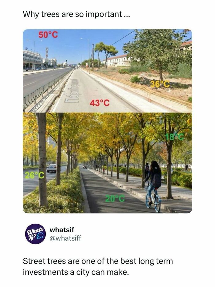 “What If?”: 125 Internet Posts That Made Scrolling Way More Enjoyable