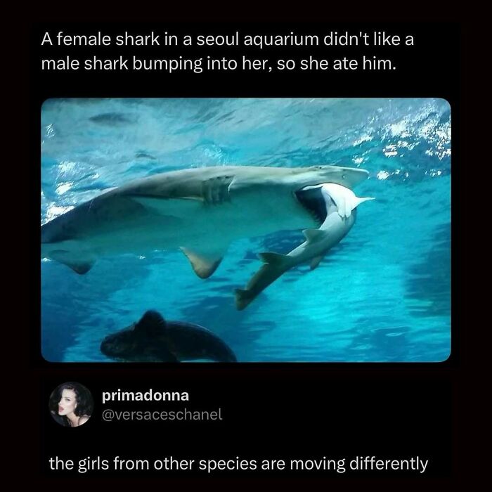 “What If?”: 125 Internet Posts That Made Scrolling Way More Enjoyable