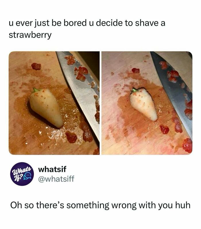 “What If?”: 125 Internet Posts That Made Scrolling Way More Enjoyable