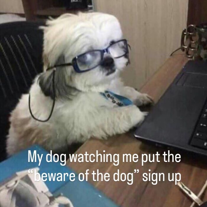 “What If?”: 125 Internet Posts That Made Scrolling Way More Enjoyable