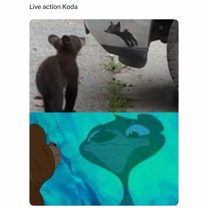 “What If?”: 125 Internet Posts That Made Scrolling Way More Enjoyable